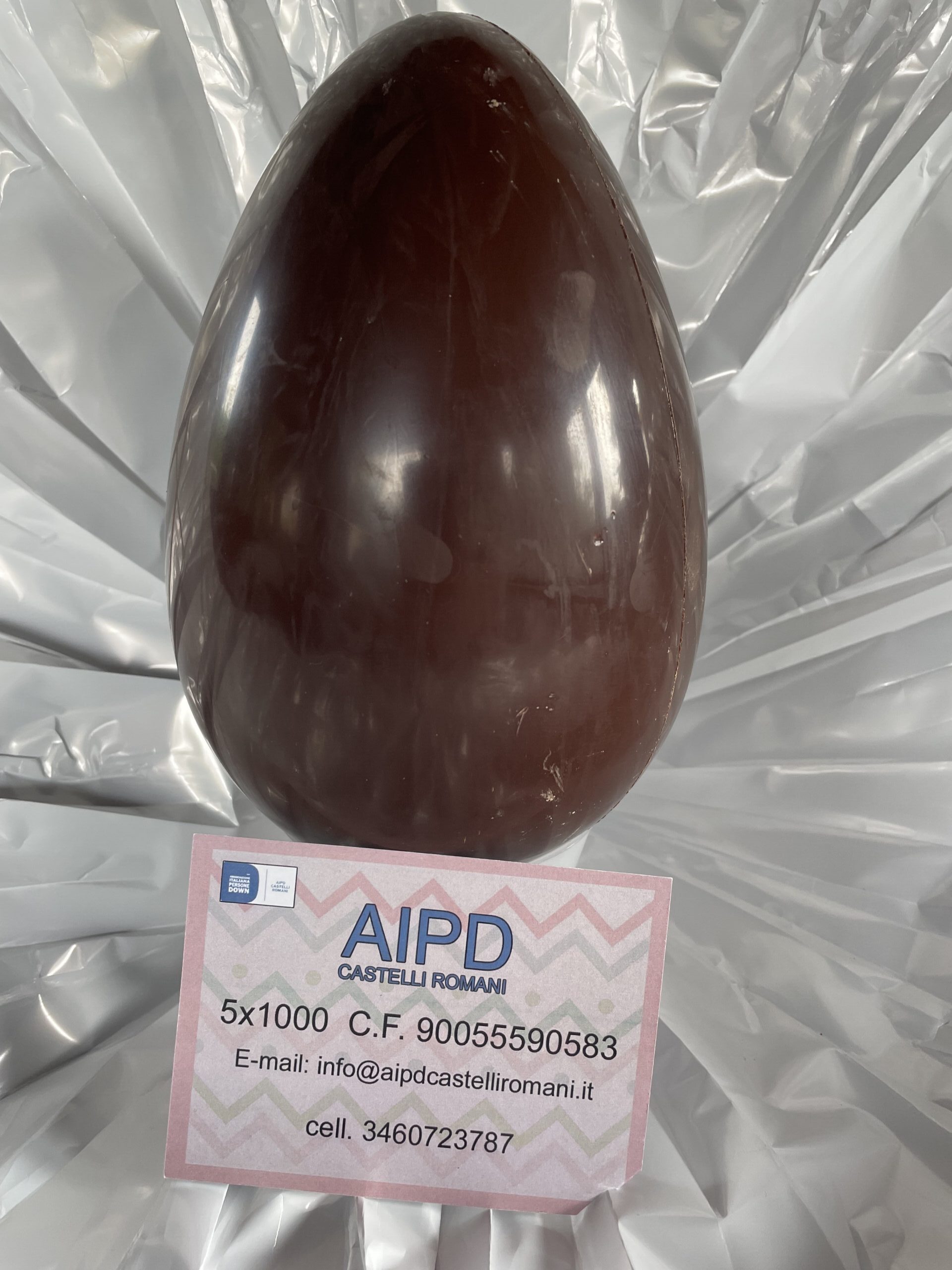 uova-pasqua-cioccolato-fondente-latte-aipd-castelli-romani-aps-2025-f5